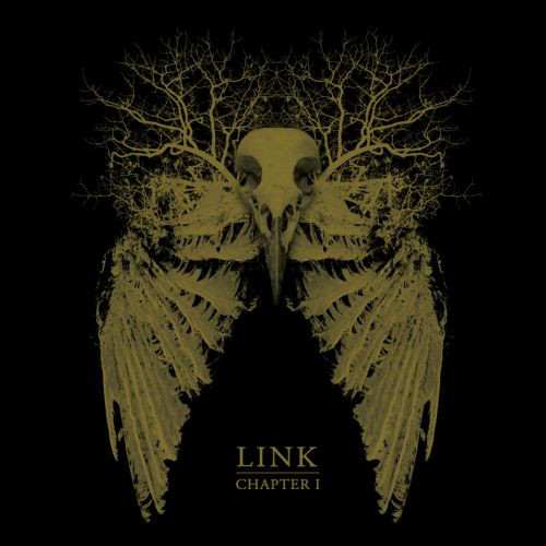 LINK "Chapter 1" - CD