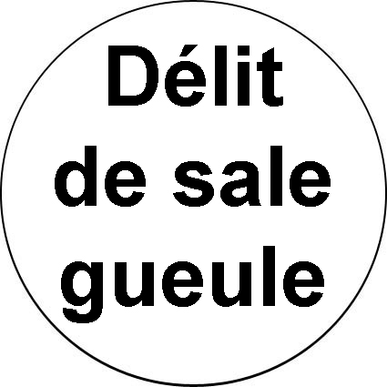 Badge Délit de sale gueule – réf. 131