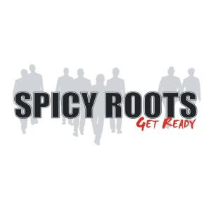 SPICY ROOTS "Get ready" - 33T
